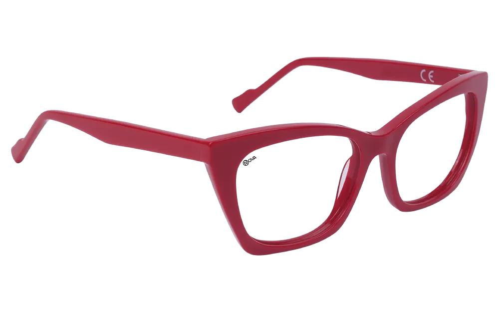 Sunglass